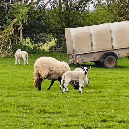 Vakantiehuis Greystone Newton Reigny