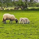 2 Bed In Penrith Oc-g31989